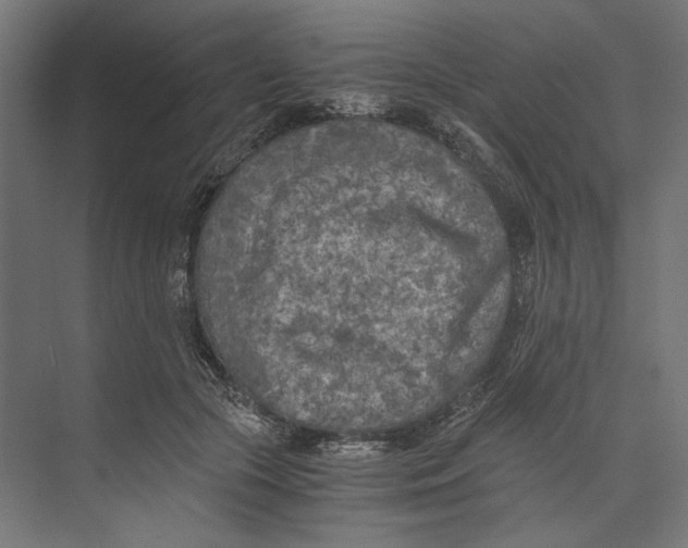 X0000073840553200609071544