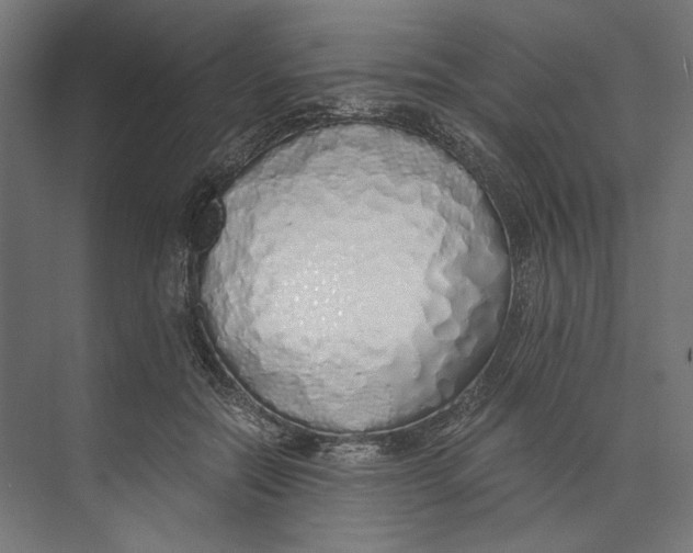 X0000073840554200609071544