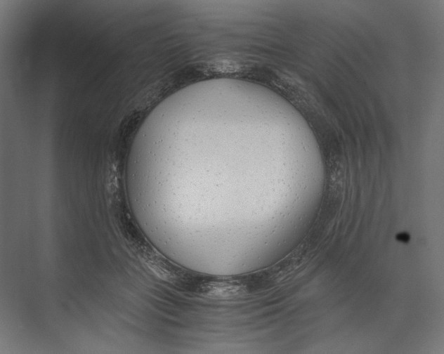 X0000073840555200609071544