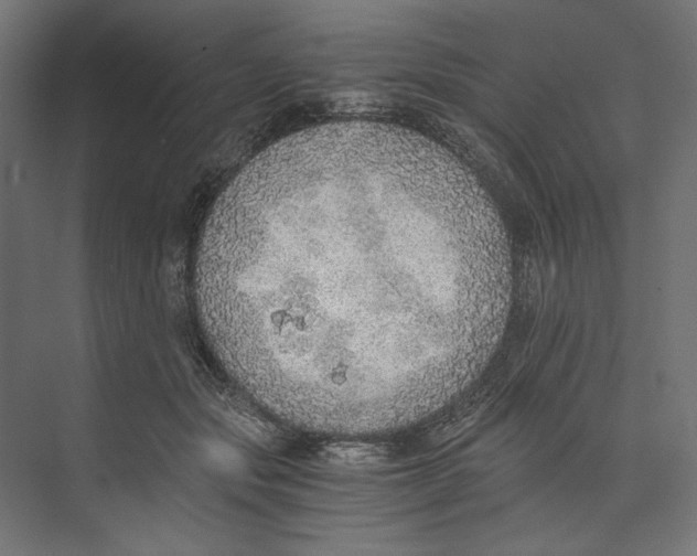 X0000073840557200609071544