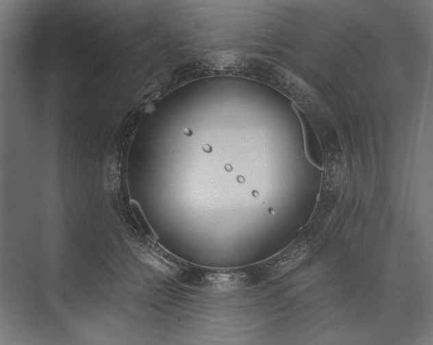 X0000073840558200609071544