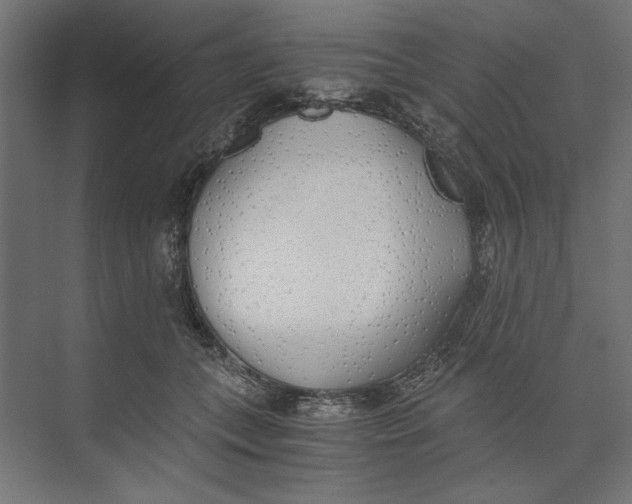 X0000073840559200609071544