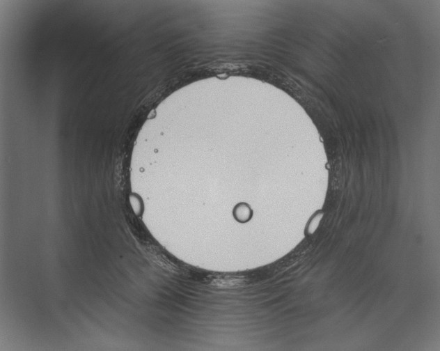 X0000073840560200609071544