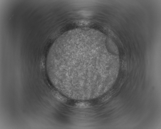 X0000073840561200609071544