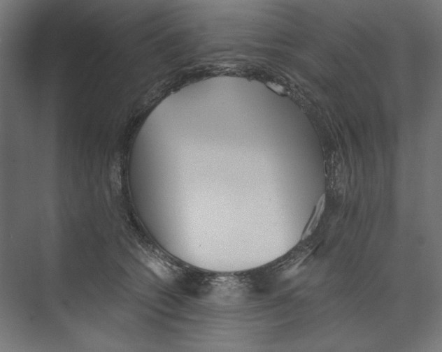 X0000073840562200609071544