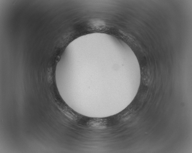 X0000073840563200609071544