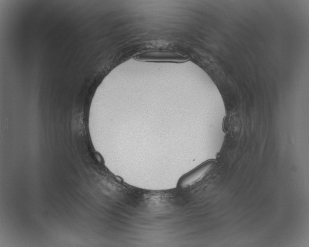 X0000073840564200609071544