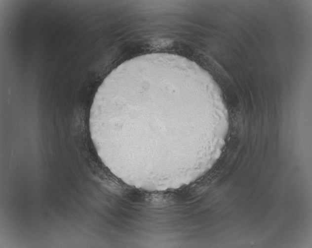 X0000073840565200609071544