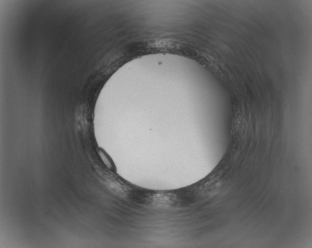 X0000073840566200609071544