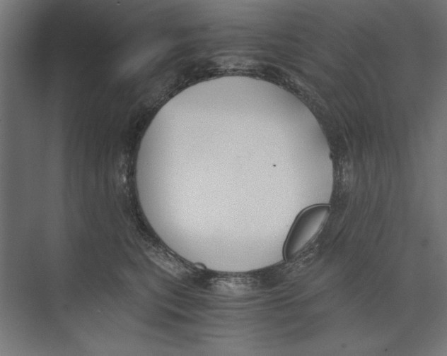 X0000073840567200609071544