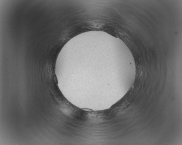 X0000073840568200609071544