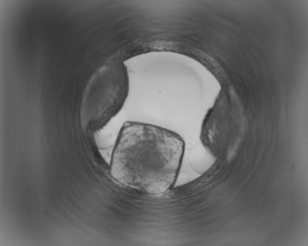 X0000073840569200609071544