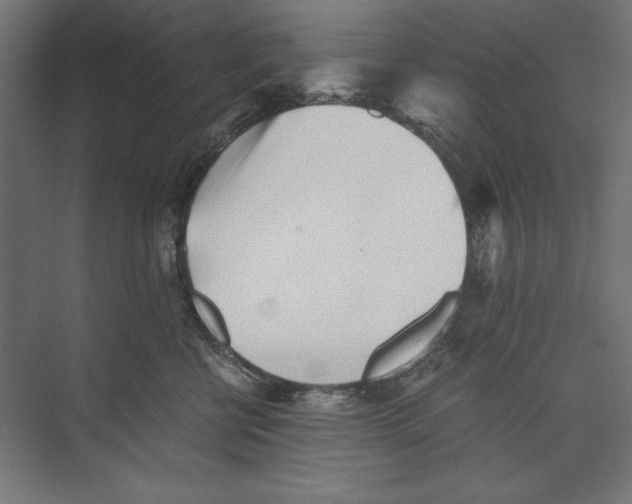 X0000073840570200609071544