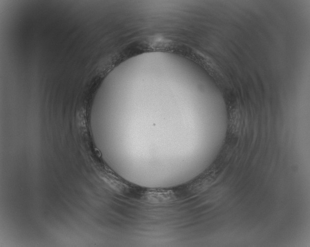 X0000073840571200609071544