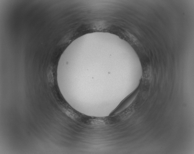 X0000073840572200609071544