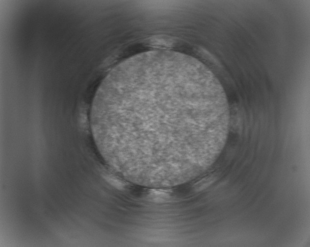 X0000073840573200609071544