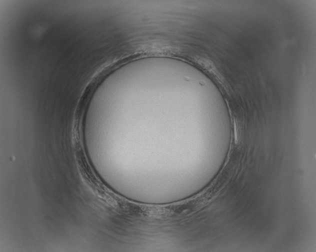 X0000073840579200609071543