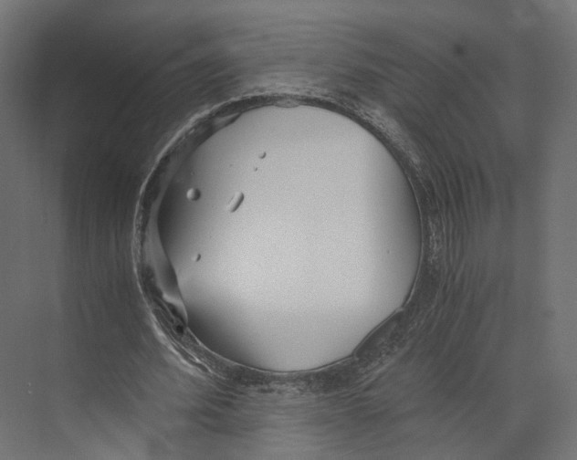 X0000073840580200609071543