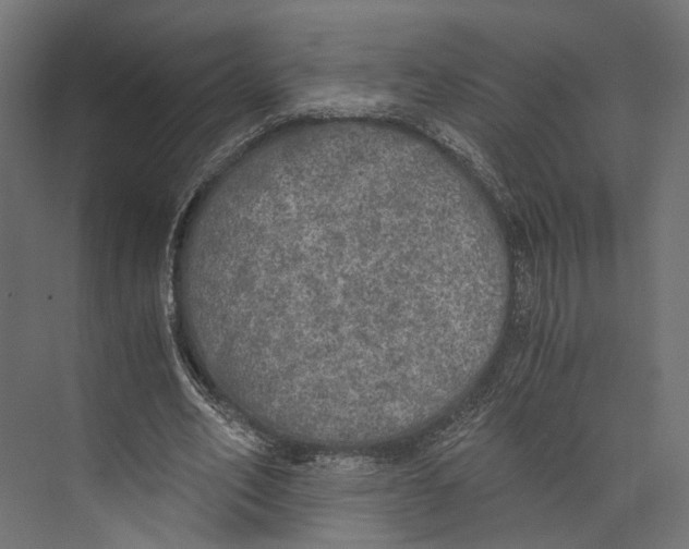 X0000073840582200609071543