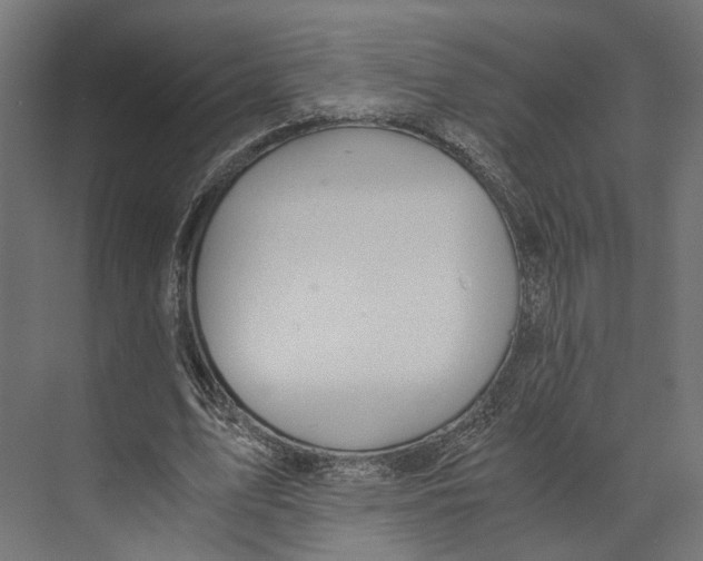 X0000073840583200609071543