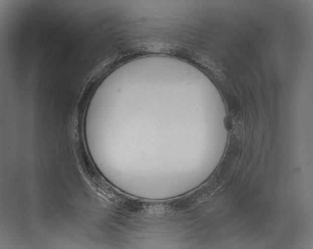 X0000073840587200609071543