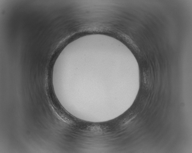 X0000073840588200609071543