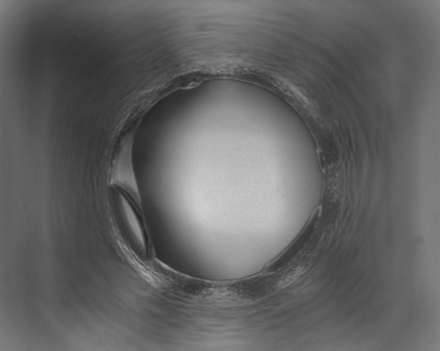 X0000073840589200609071543