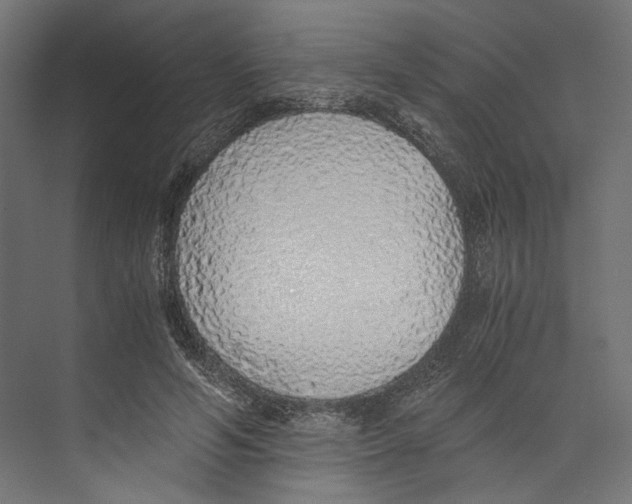 X0000073840594200609071543