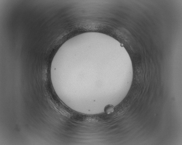 X0000073840596200609071543