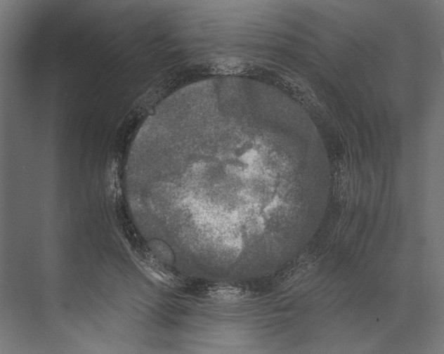 X0000073840598200609071543