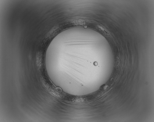 X0000073840600200609071543