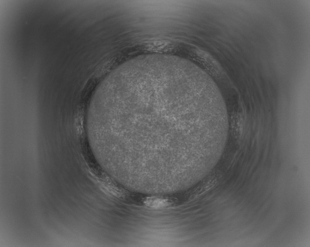 X0000073840602200609071543