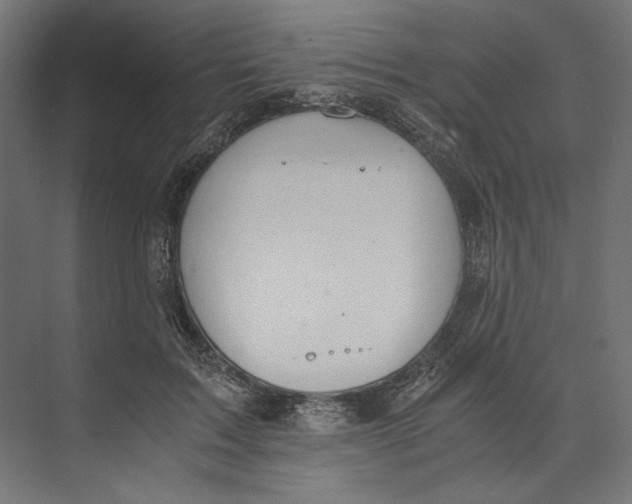 X0000073840603200609071543