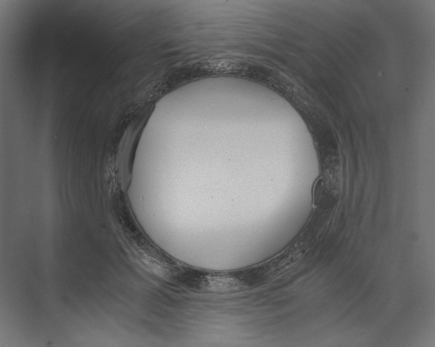 X0000073840605200609071543