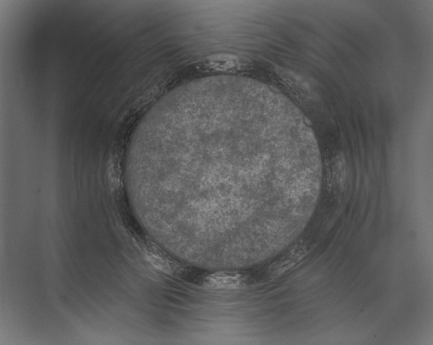 X0000073840606200609071543