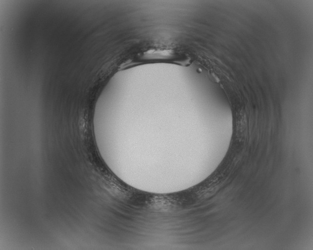 X0000073840608200609071543