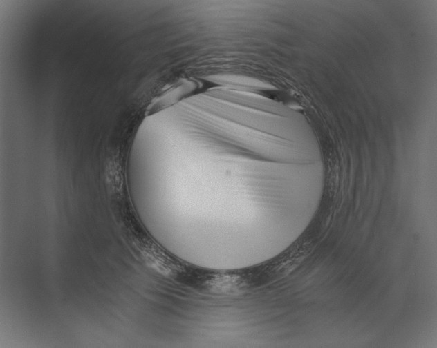 X0000073840609200609071543