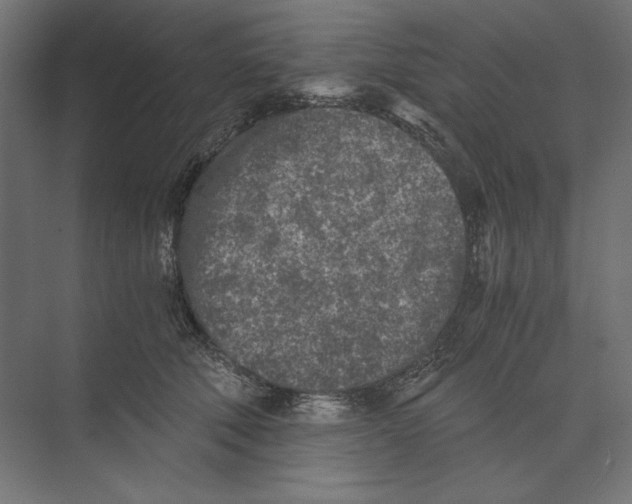 X0000073840610200609071543