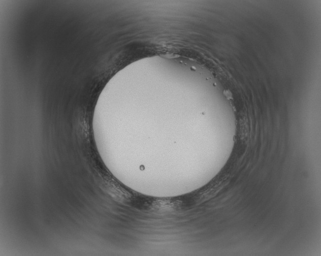 X0000073840613200609071543