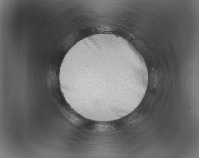 X0000073840614200609071543