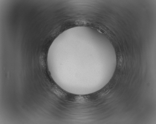 X0000073840616200609071543