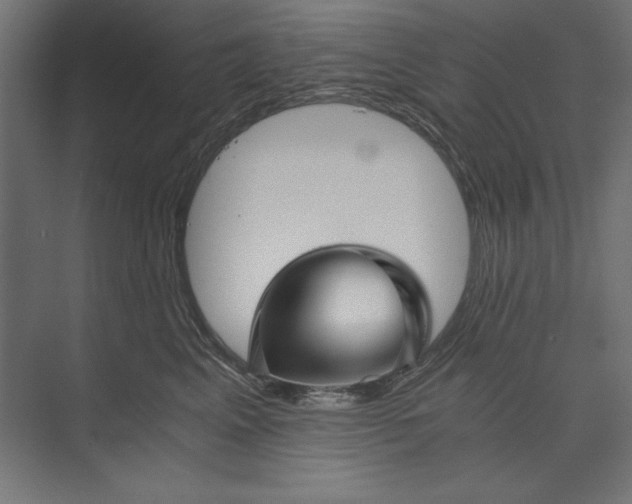 X0000073840617200609071543