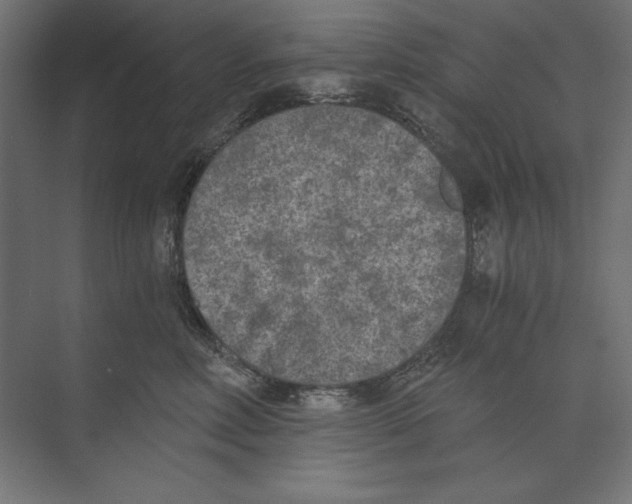 X0000073840618200609071542