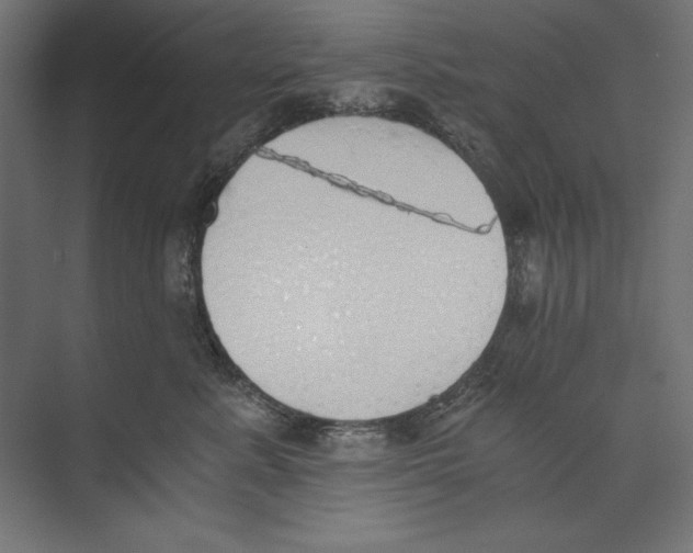 X0000073840619200609071542