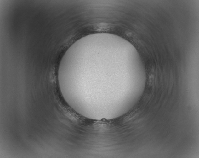 X0000073840620200609071542