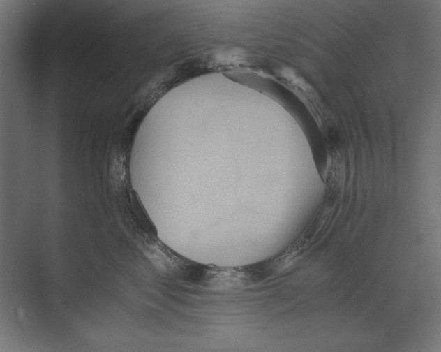 X0000073840621200609071542