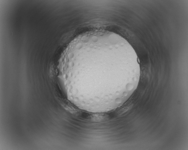 X0000073840623200609071542