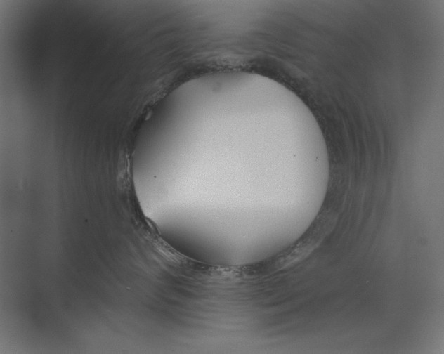 X0000073840624200609071542