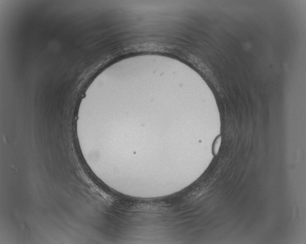 X0000073840625200609071542