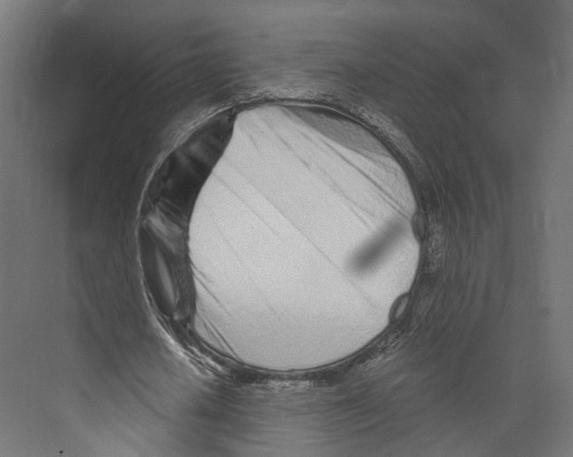 X0000073840626200609071542